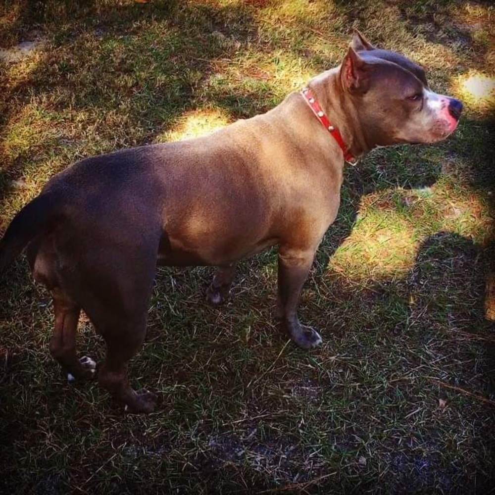 Meet your Posher, Antonio